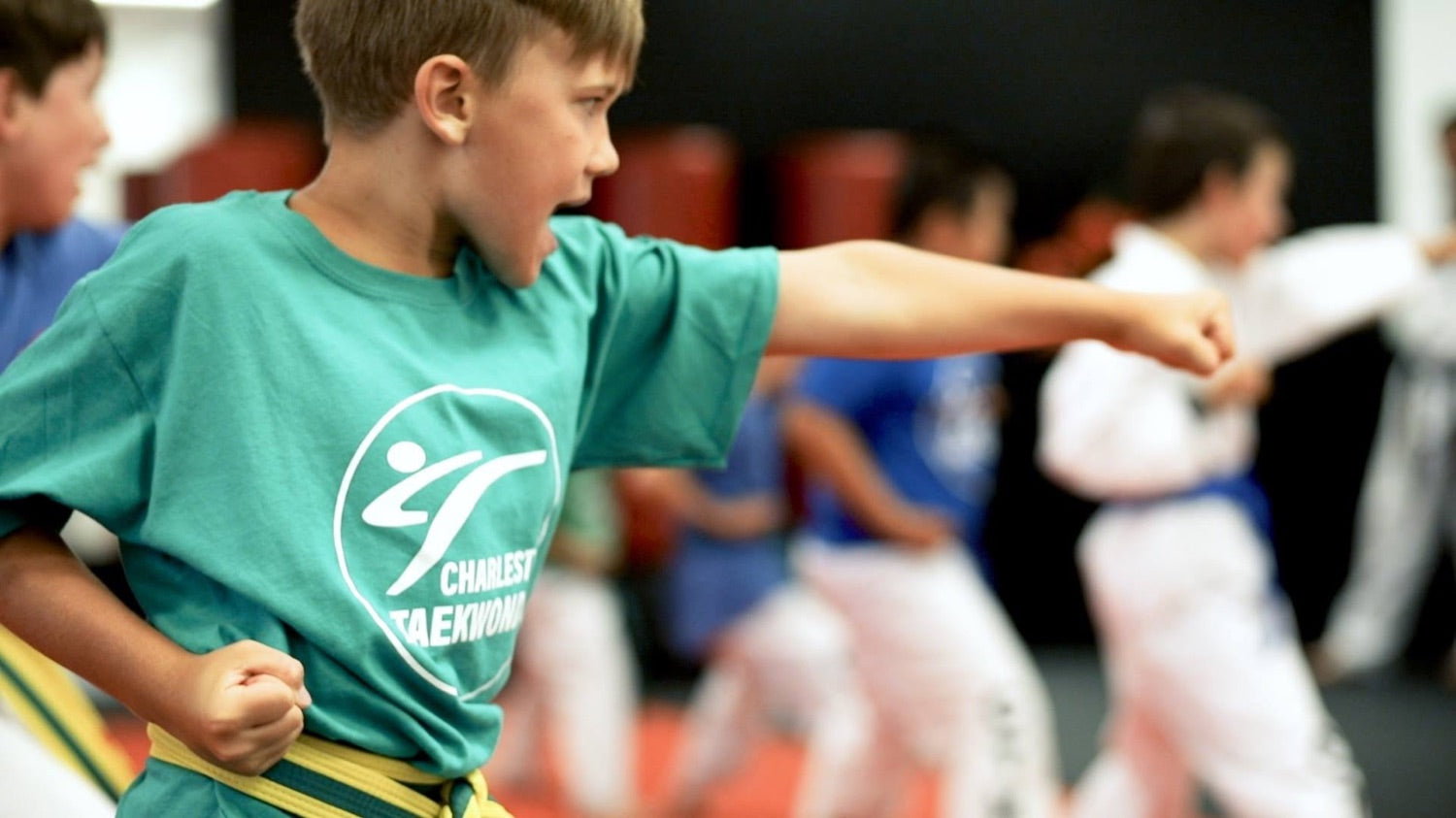 Youth martial arts team lined up together in matching custom team shirts
